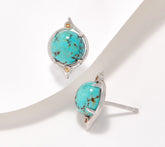 Generation Gems Sterling Silver Turquoise & Citrine Stud Earrings